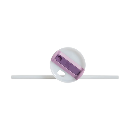 Stanley Purple Tumbler Cup Quencher H2.0